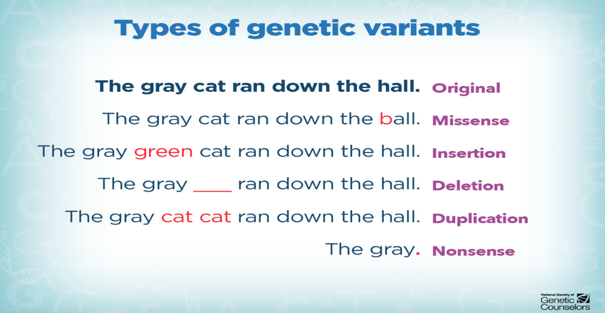 Gene mutations. Source: https://www.parentprojectmd.org/wp-content/uploads/2018/01/AboutDuchenne_MutationTypes.png