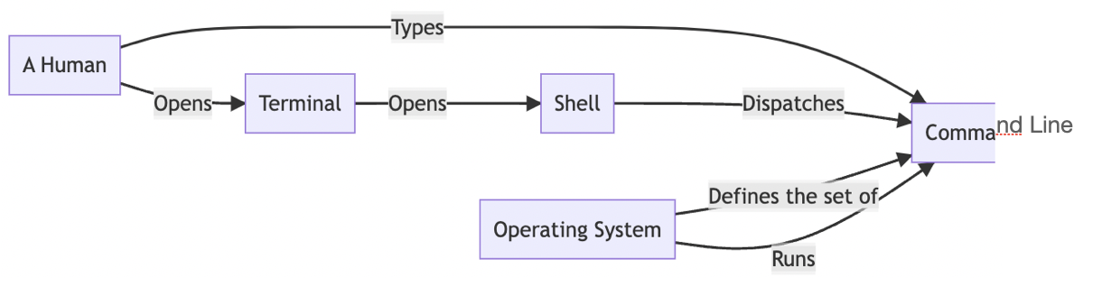 terminal_graph