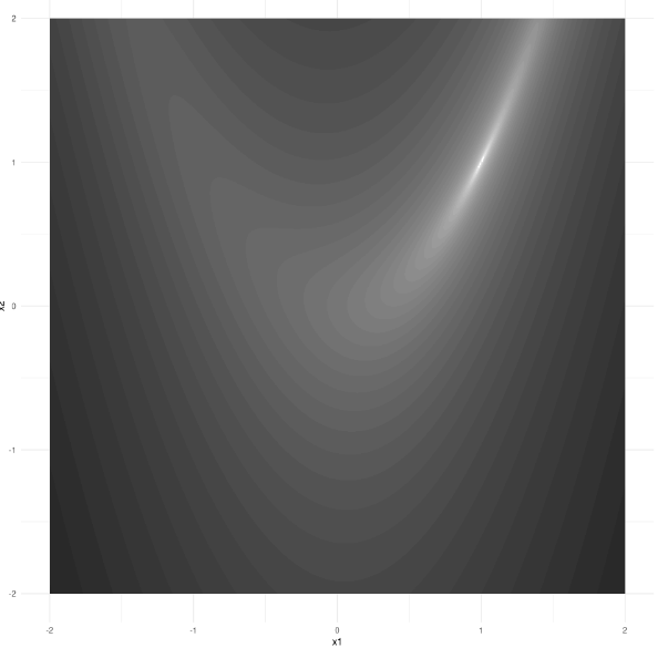 rosenbrock function